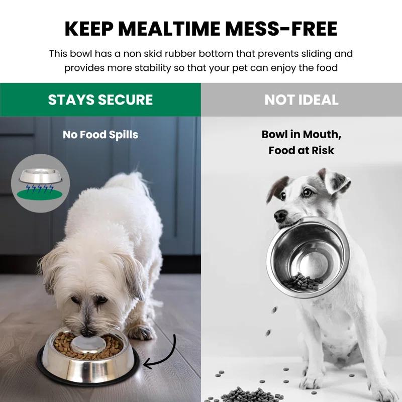 Iconic Pet Anti-Skid Slow Feeder (Set of 2)