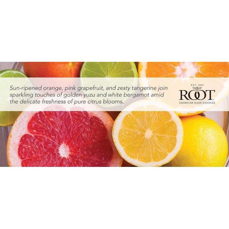 Root Candles Citron and Bergamot Scented Jar Candle