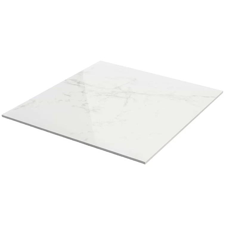 24" x 24" Polished Marble Look Porcelain Floor and Wall Tile (15.5 Sq. Ft. / Case)