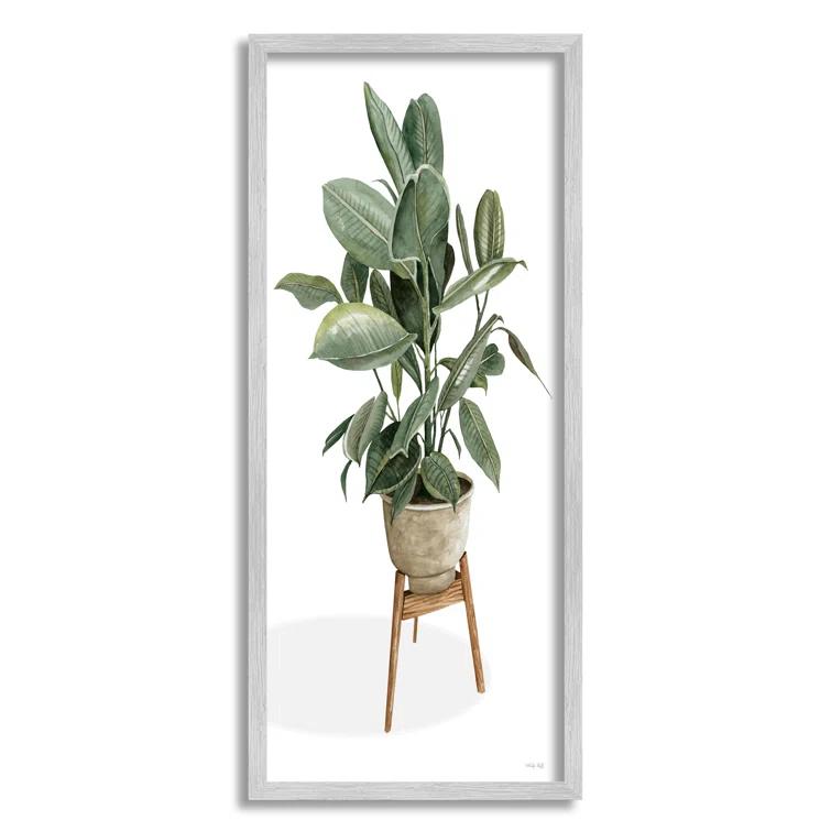 Stupell Industries " Lush Green Potted House Plant Round Leaves " by Cindy Jacobs