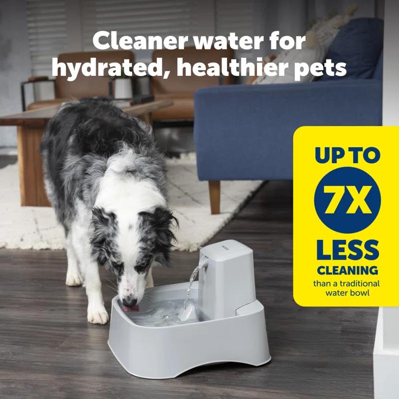 PetSafe® Drinkwell® Gallon Pet Fountain