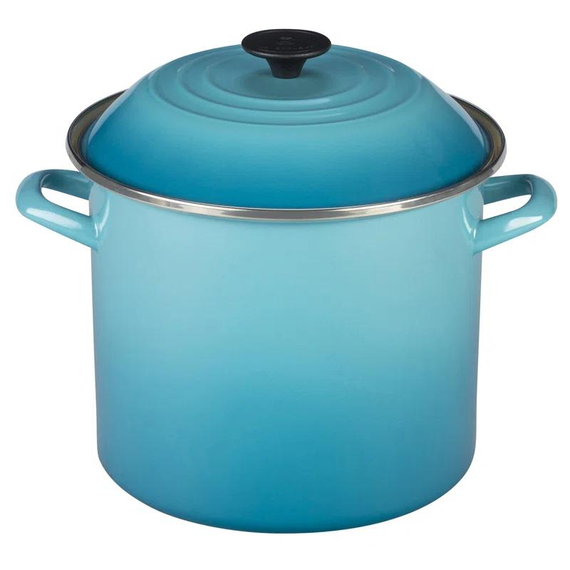 Le Creuset Enamel on Steel Stockpot with Lid