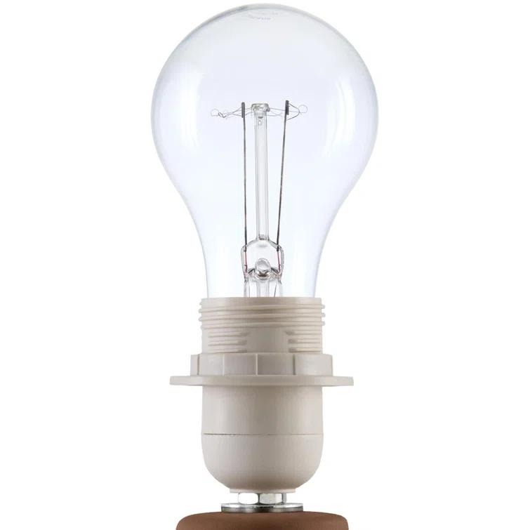 Momsen Scallop Shade Matte Lamp
