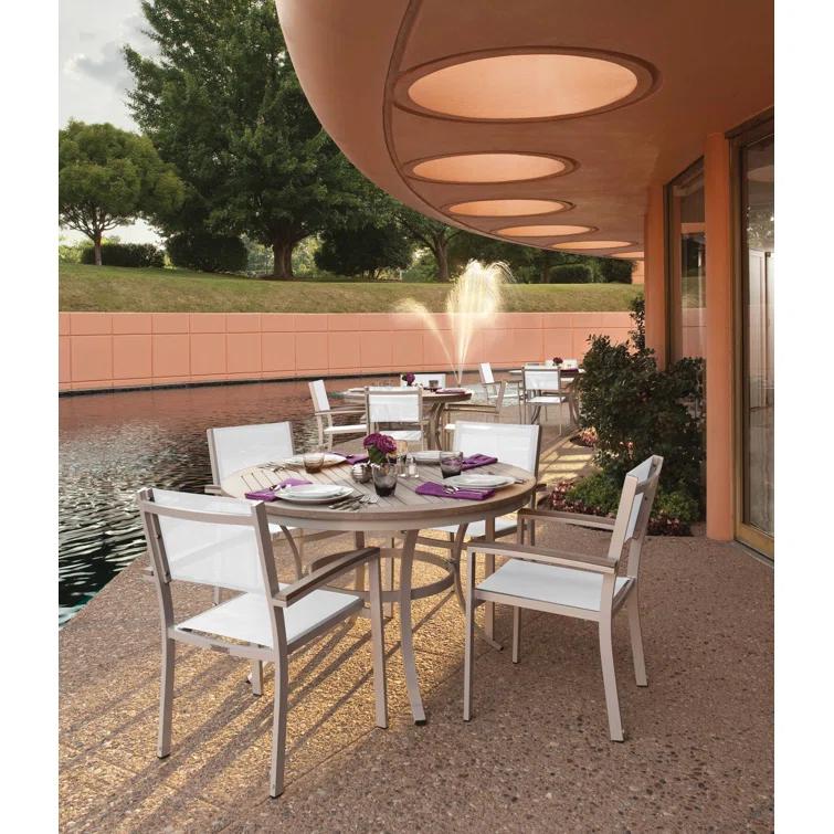 Hermes Indoor / Outdoor Dining Chair (Set of 2) - Gray and Carbon