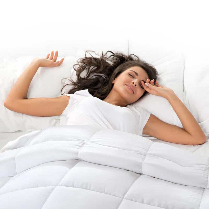 Alwyn Home Tanna All Season Microfiber Down Alternative Comforter