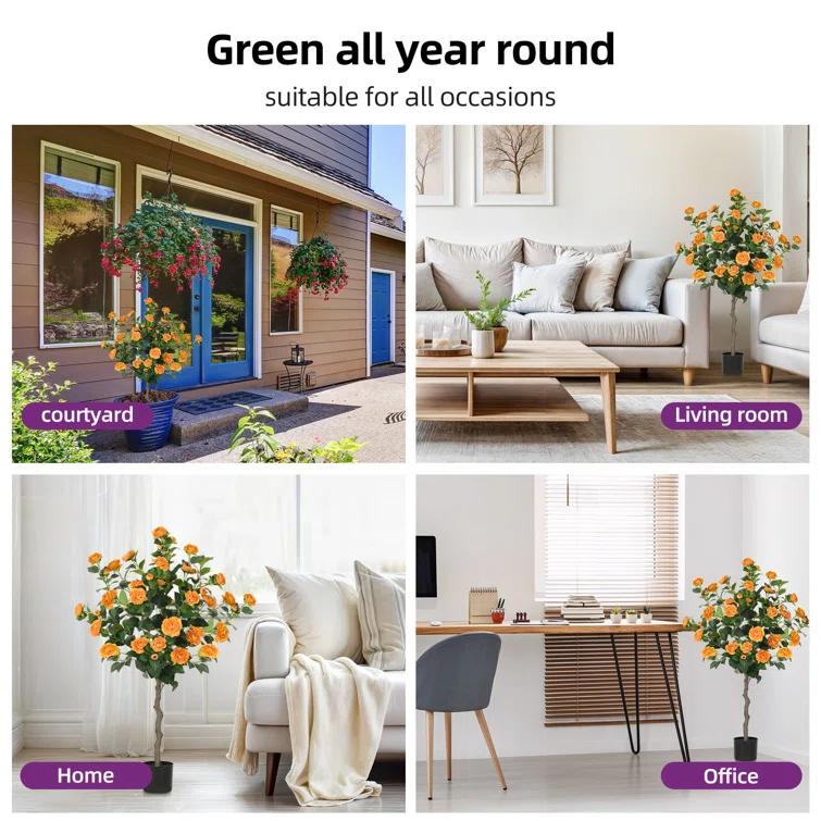 Primrue Primrue 49.2 Camellia Tree Plant (Set of 2)