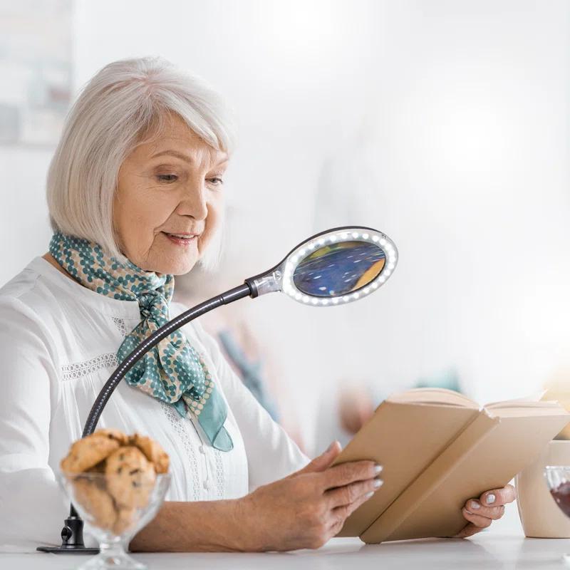 Brightech Lightview Pro 23.5 in. Adjustable Gooseneck Magnifying Desk Lamp