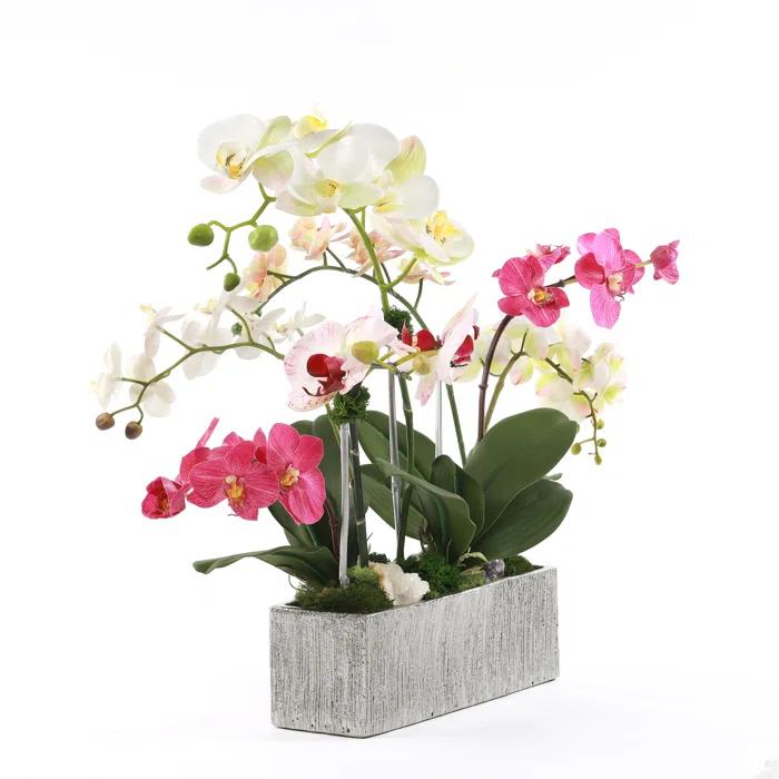 Jenny Silks Orchid Arrangement in Pot