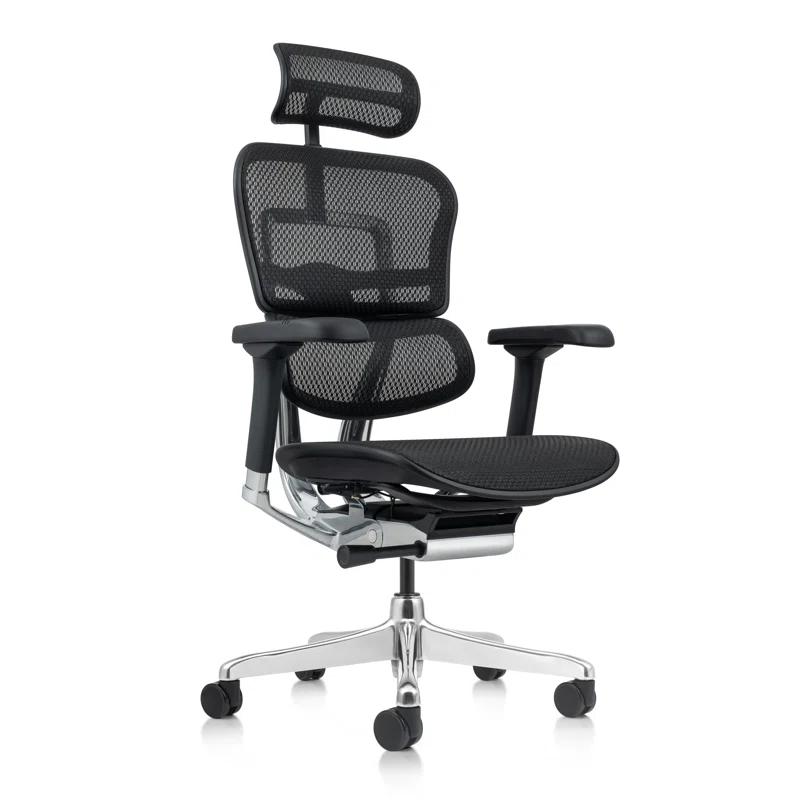 Eurotech Seating Ergohuman Executive Chair with Headrest