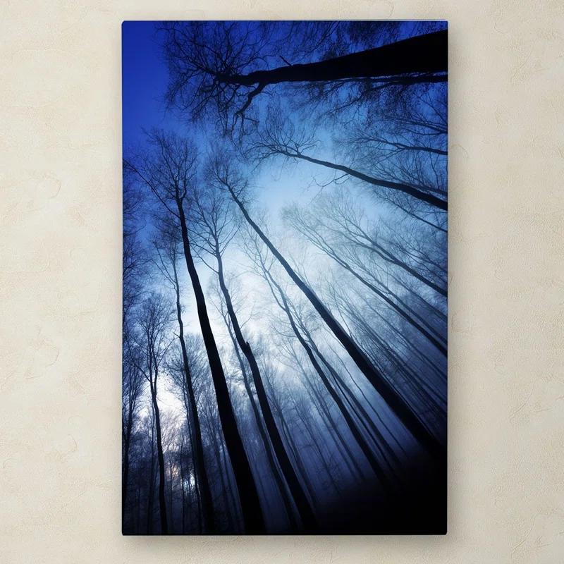 Trademark Fine Art Modern & Contemporary