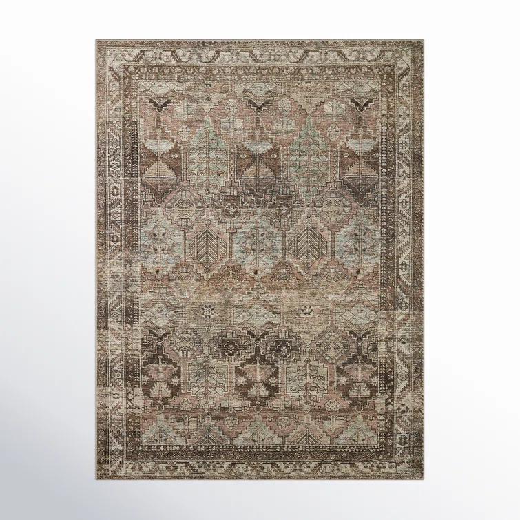 Billie Oriental Clay/Sage Area Rug