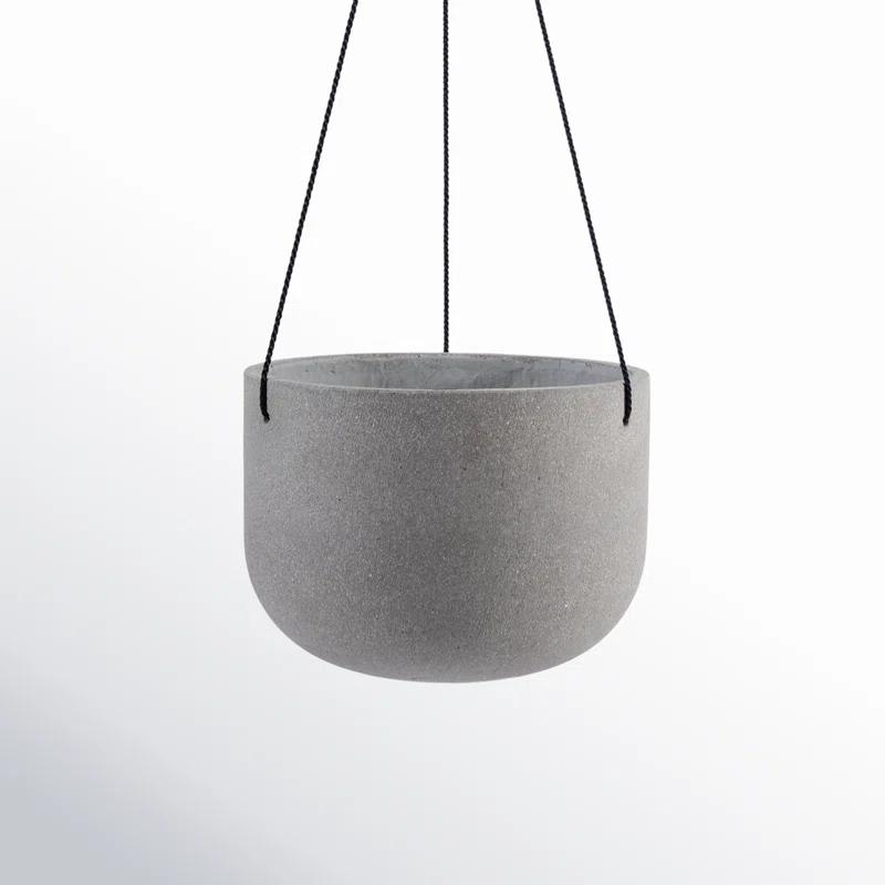 AllModern McGrath Hanging Planter