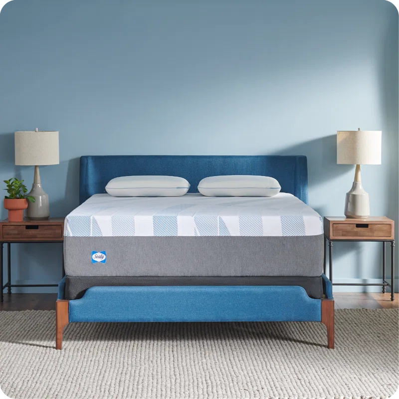 Sealy Sealy Dreamlife 14” Plush Hybrid Mattress-in-a-Box