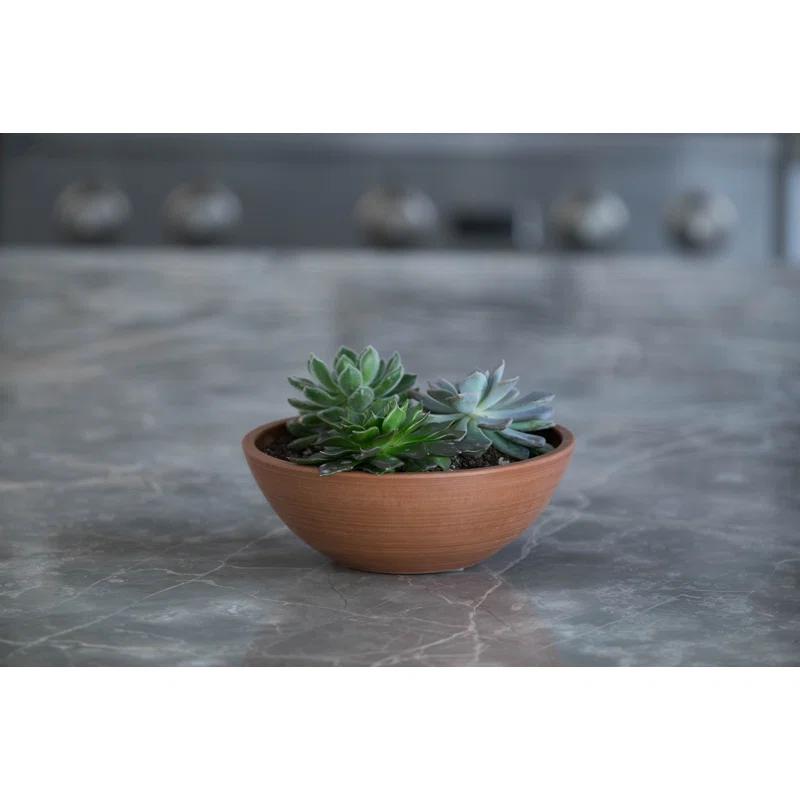 Algreen  Valencia Planter Bowl - Textured Terra Cotta - Pack of 2