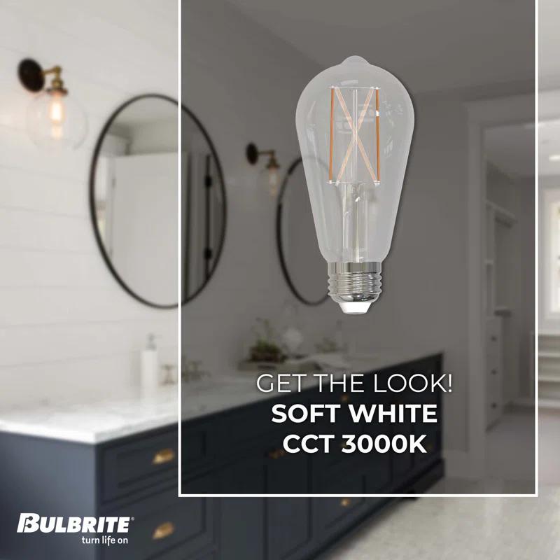 Bulbrite Industries 861424 60 Watt Equivalent ST18 E26/Medium (Standard) Dimmable 3000K LED Bulb (Set of 2)