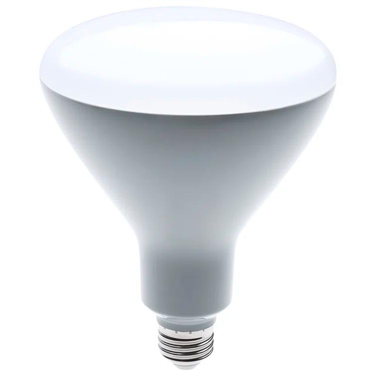 Satco 75 Watt Equivalent BR40 E26/Medium (Standard) Dimmable LED Bulb (Set of 6) S9634