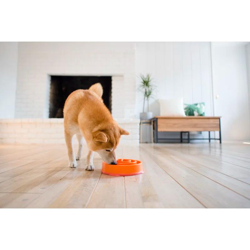 Outward Hound Fun Feeder Slow Bowl, Slow Feeder Dog Bowl, Medium, Orange