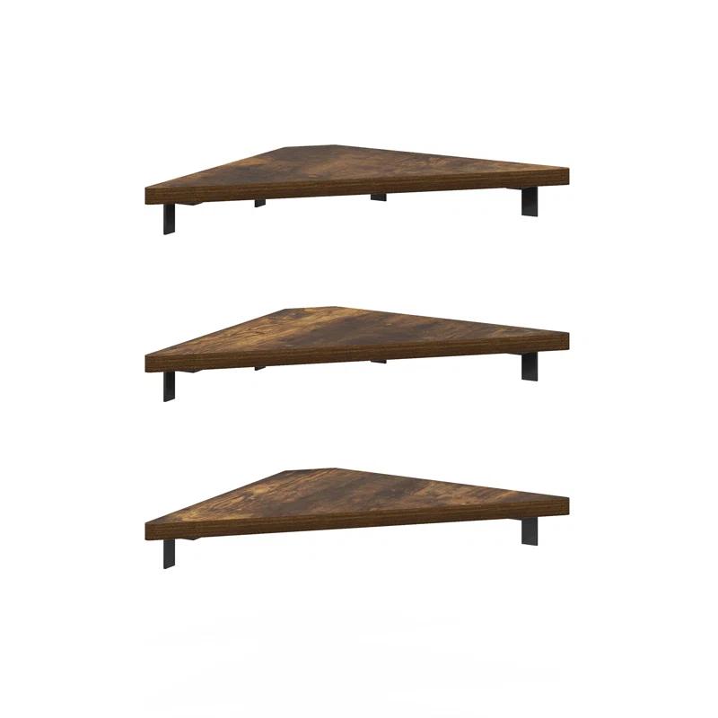 Ebern Designs Belby Triangle Corner Floating Shelves, Wall Mount Display Shelf, Set of 3