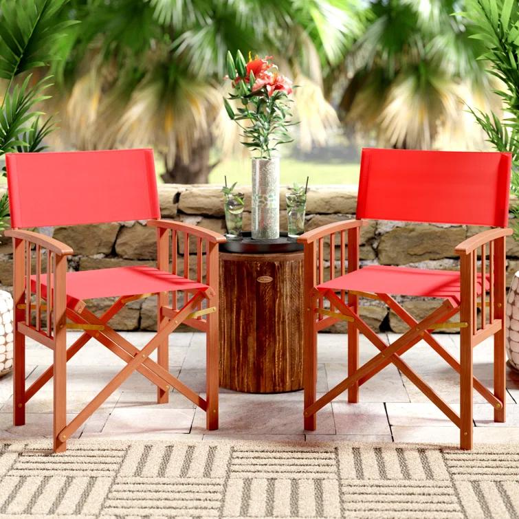 Highland Dunes Woodacre Wood Outdoor Folding Dining Armchair (Set of 2)