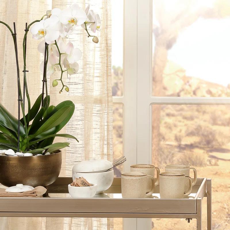 Odesky Lidded Bowl - White / Large