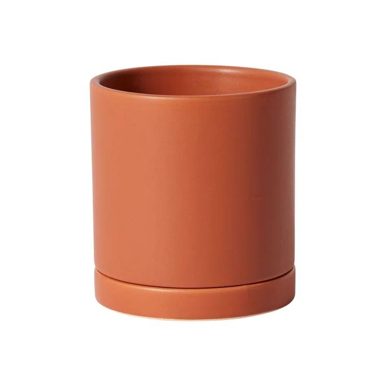 Carlotta Ceramic Pot Planter