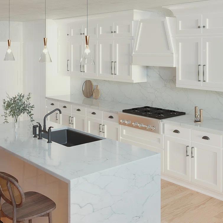 Traditional Black Stainless Steel Cup Pull with Mounting Hardware