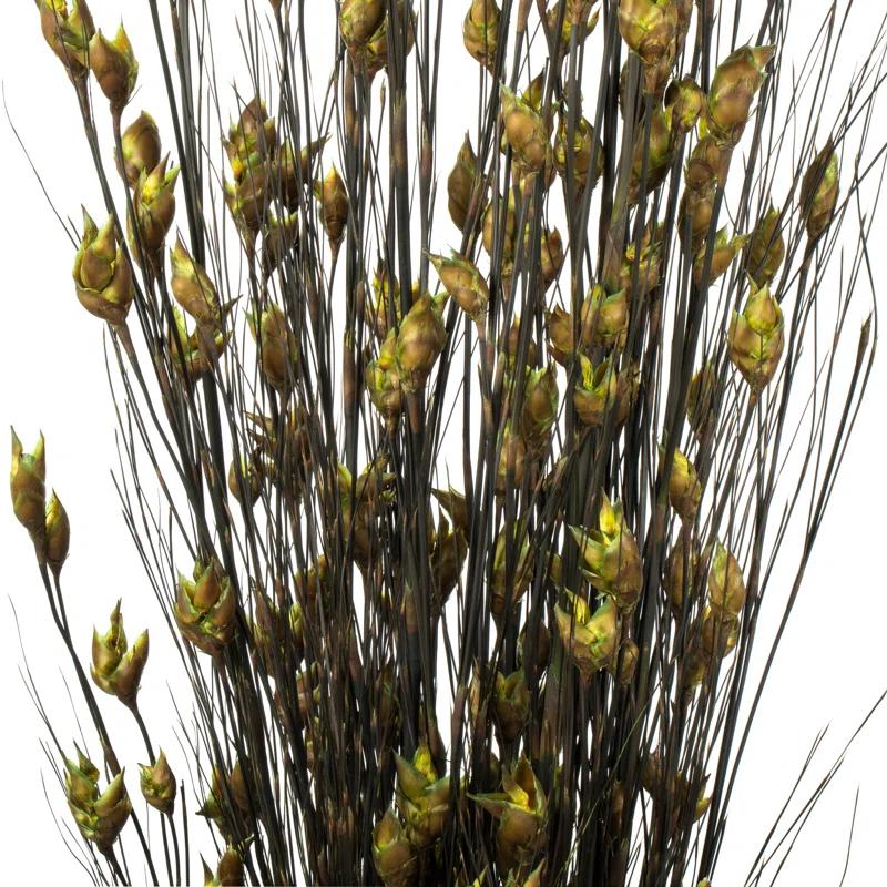 Primrue 36'' Grass