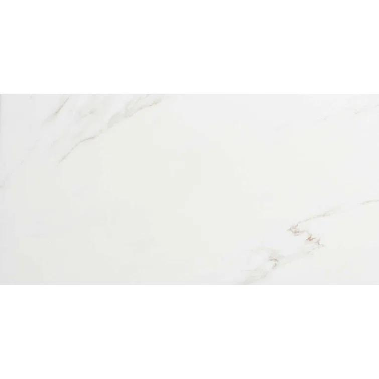 The Tile Life Huntington 24" x 48" Porcelain Marble Look Wall & Floor Tile