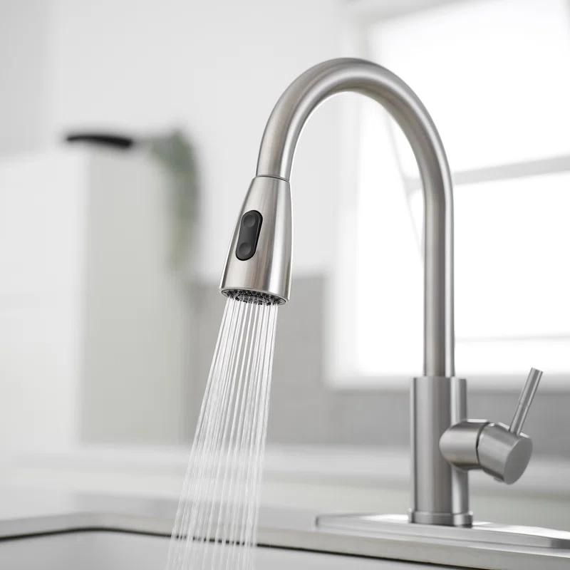 VIBRANTBATH Pull Out Kitchen Faucet