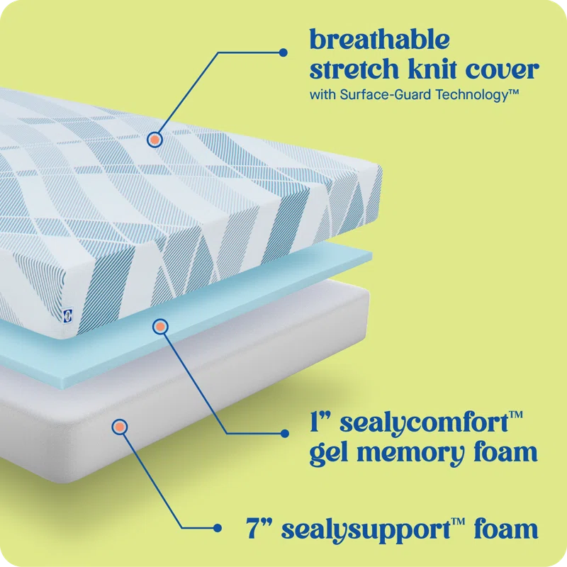 Sealy Dreamlife 8” Medium-Firm Foam Mattress-in-a-Box