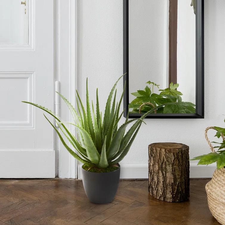 Union Rustic 26'' Faux Agave Plant in Planter