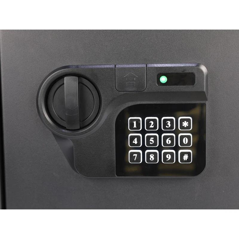 American Furniture Classics Homesecure Fireproof Personal Document And Firearm Safe