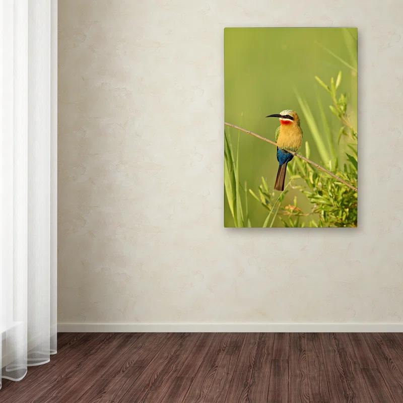 Trademark Fine Art Robert Harding Picture Library " Colorful Birds " by Robert Harding Picture Library