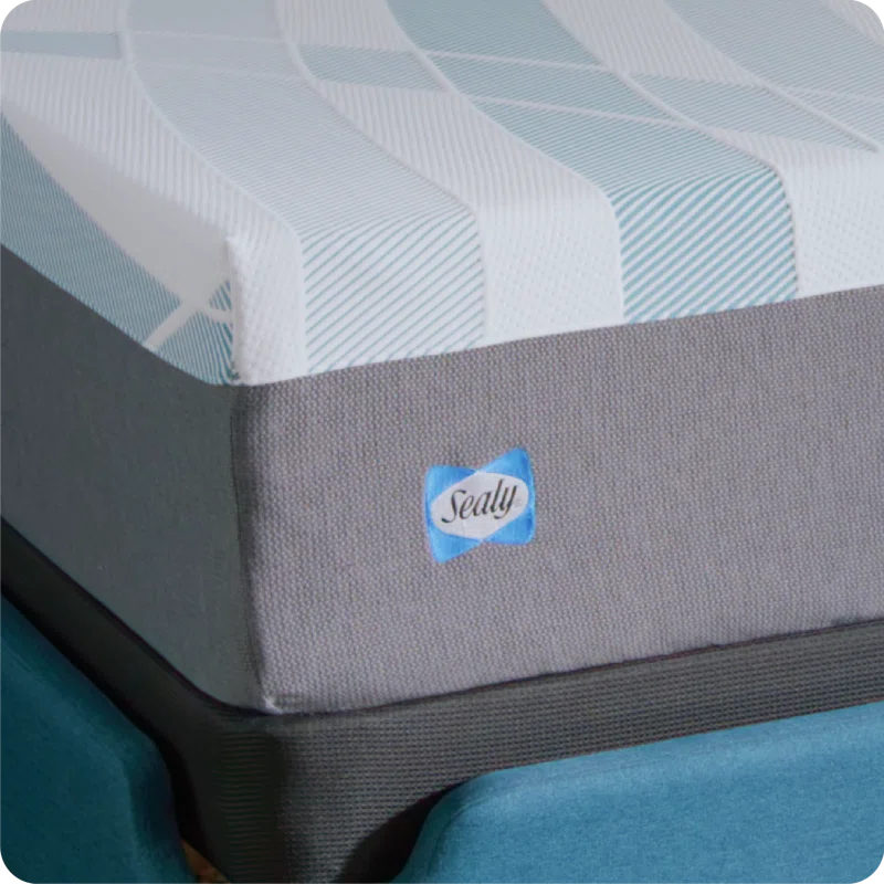 Sealy Sealy Dreamlife 12” Medium Hybrid Mattress-in-a-Box