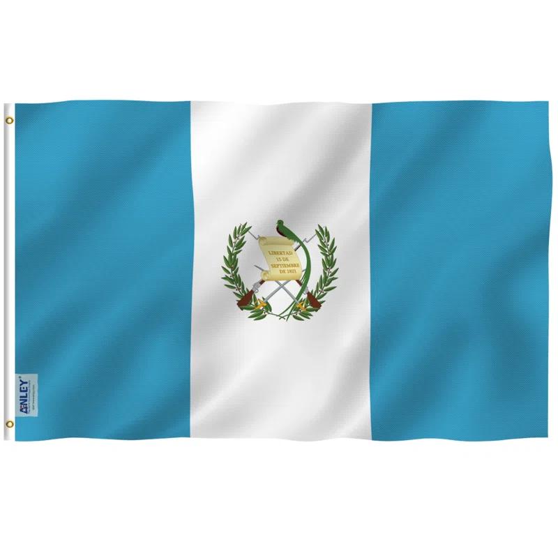 Double Sided 36'' H x 60'' W Polyester House Flag