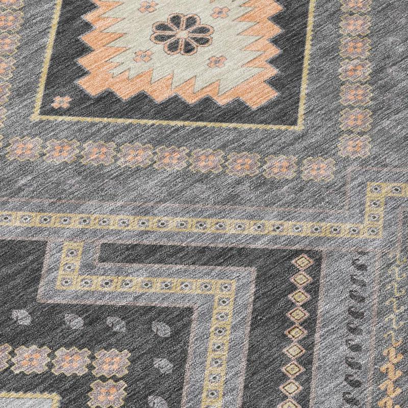 Machine Washable Indoor/Outdoor Chayden ACN1010 Gray Rug