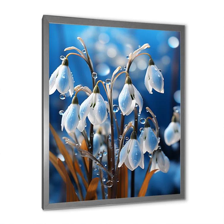 Design Art " Winter Snowdrop Flower Photography I "