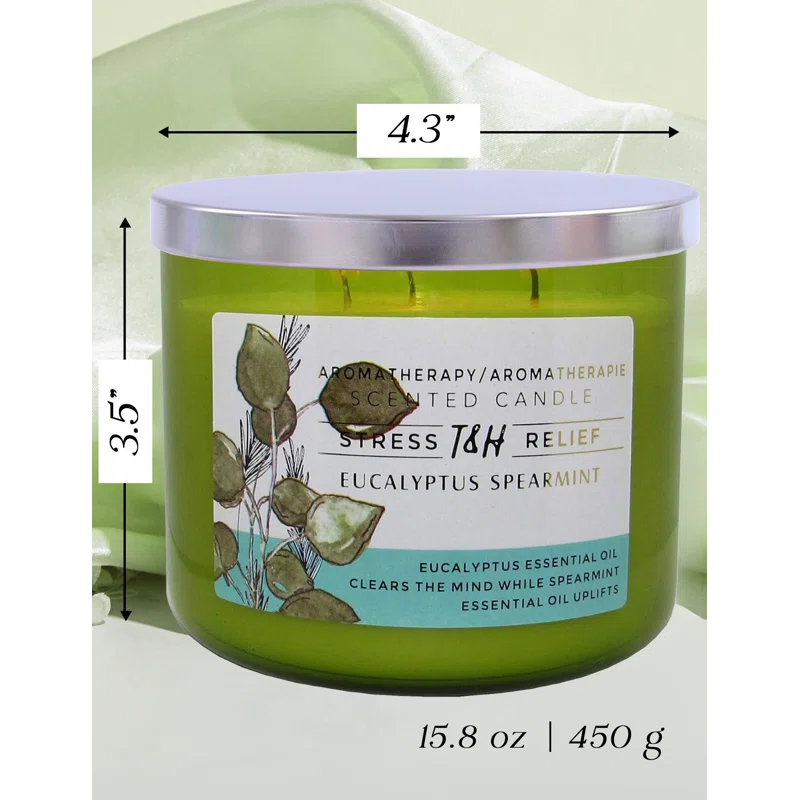 T&H Wholesalers Eucalyptus Spearmint Scented Soy Candle 3 Wick Aromatherapy Candle for Women and Men