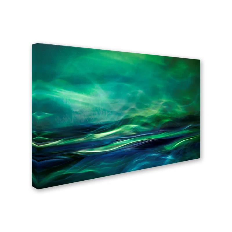 Trademark Fine Art " Northern Lights " by Willy Marthinussen