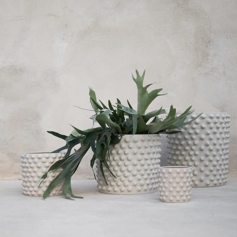 Cloudy Ceramic Pot Planter