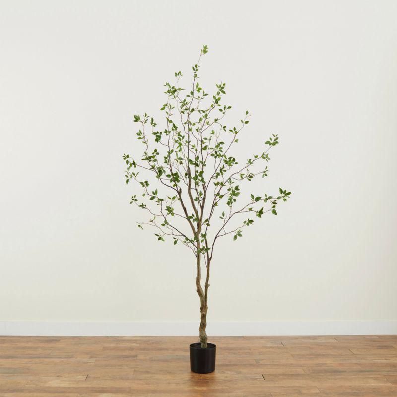 Faux Minimalist Citrus Tree 5'