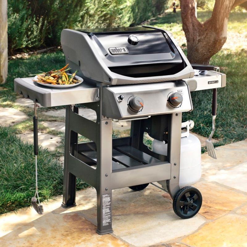 Black 2-Burner Liquid Propane Grill with Porcelain Coated Cast Iron Grates