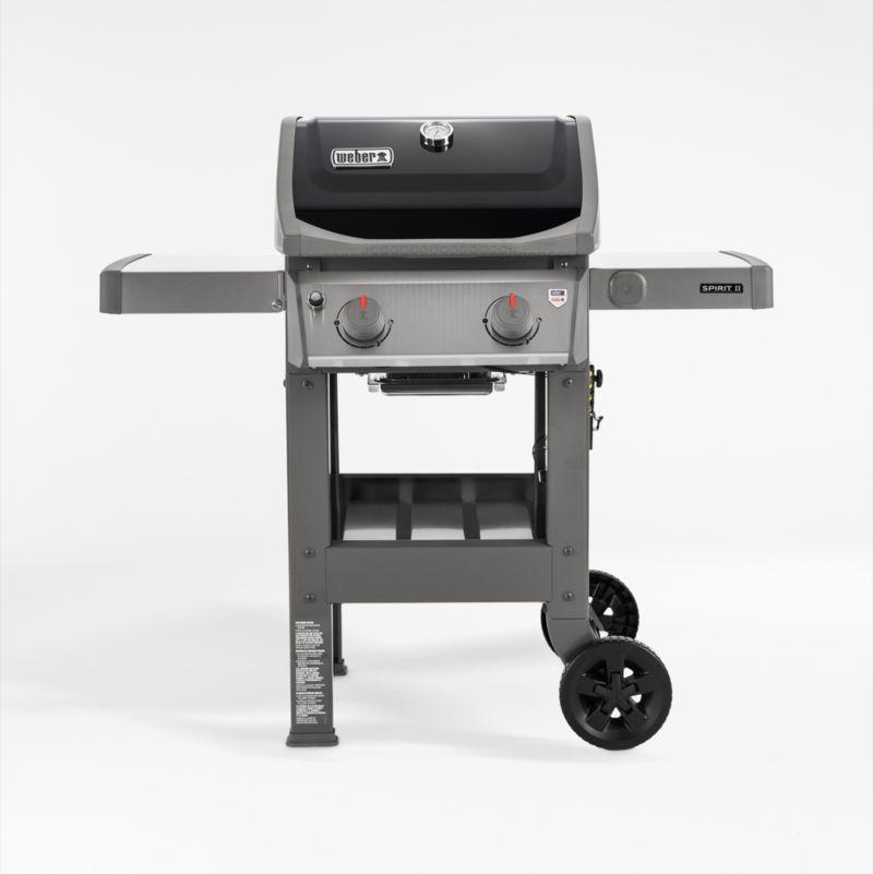 Black 2-Burner Liquid Propane Grill with Porcelain Coated Cast Iron Grates