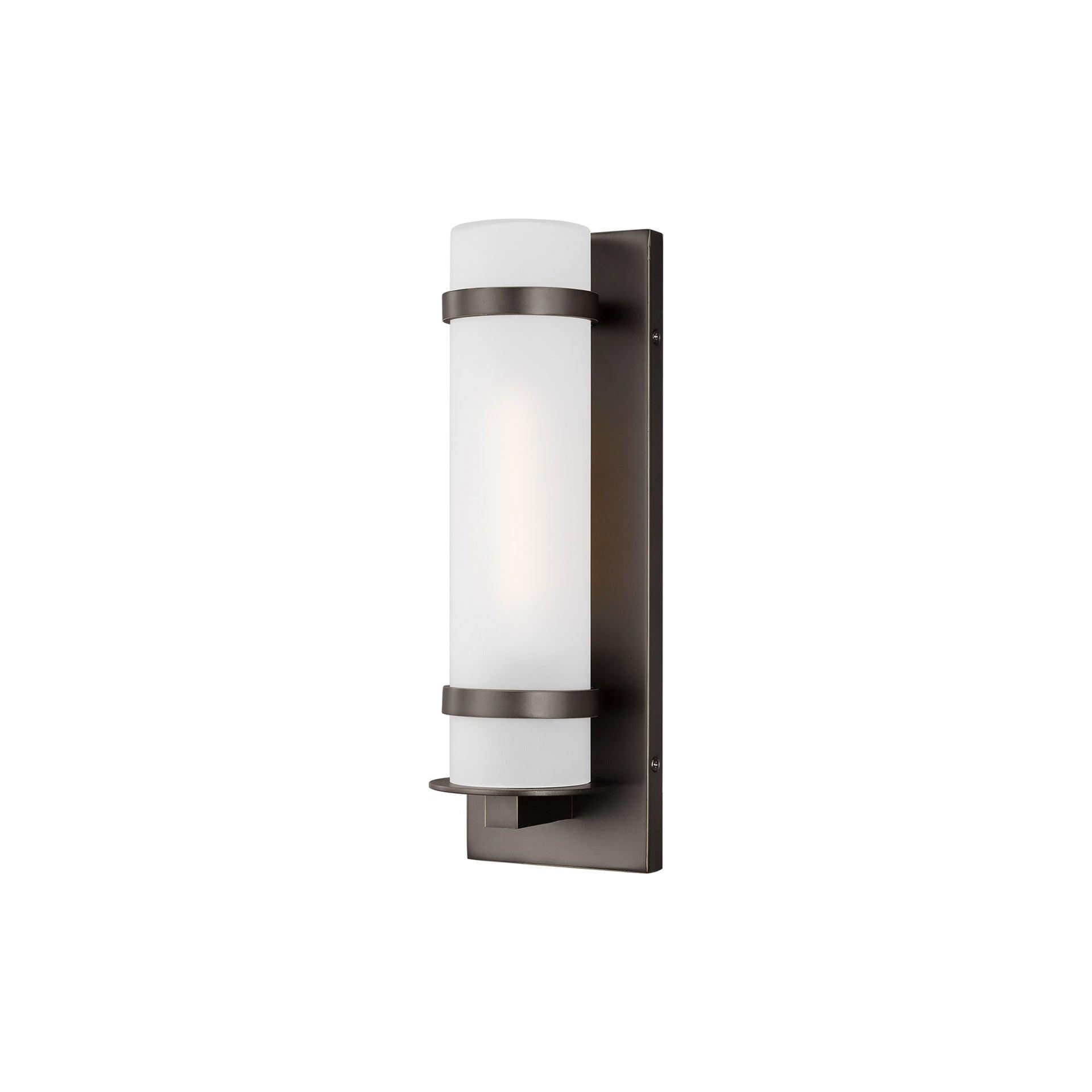 Alban Antique Bronze 1-Light Outdoor Sconce with Etched Opal Glass Shade