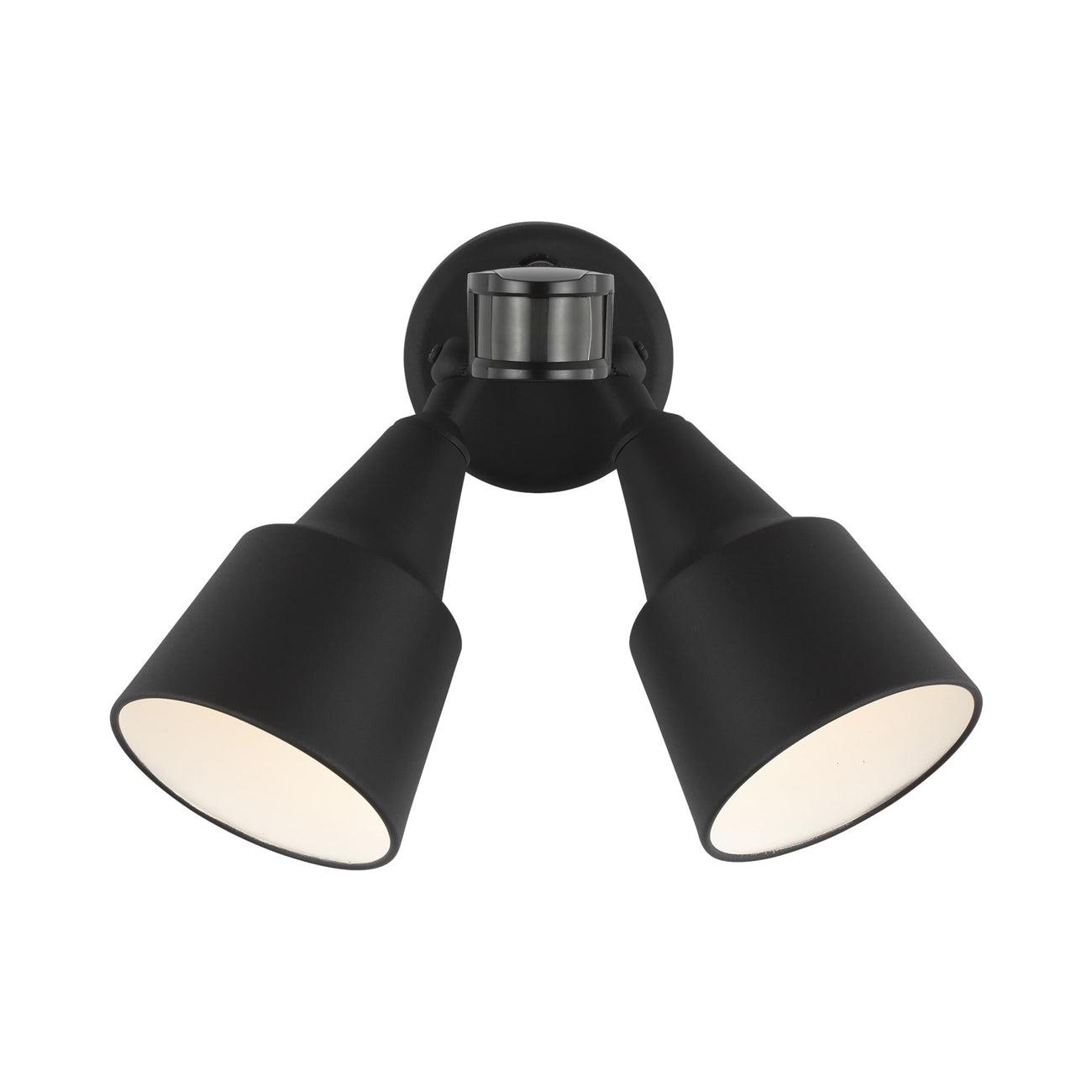 Metal Flood Light