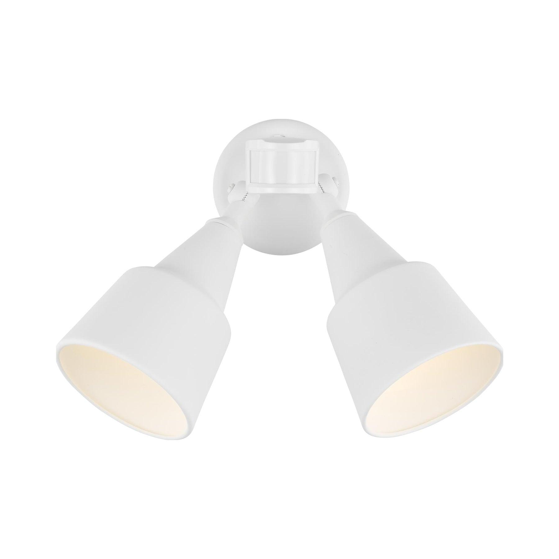 Generation Lighting Collection Metal Flood Light