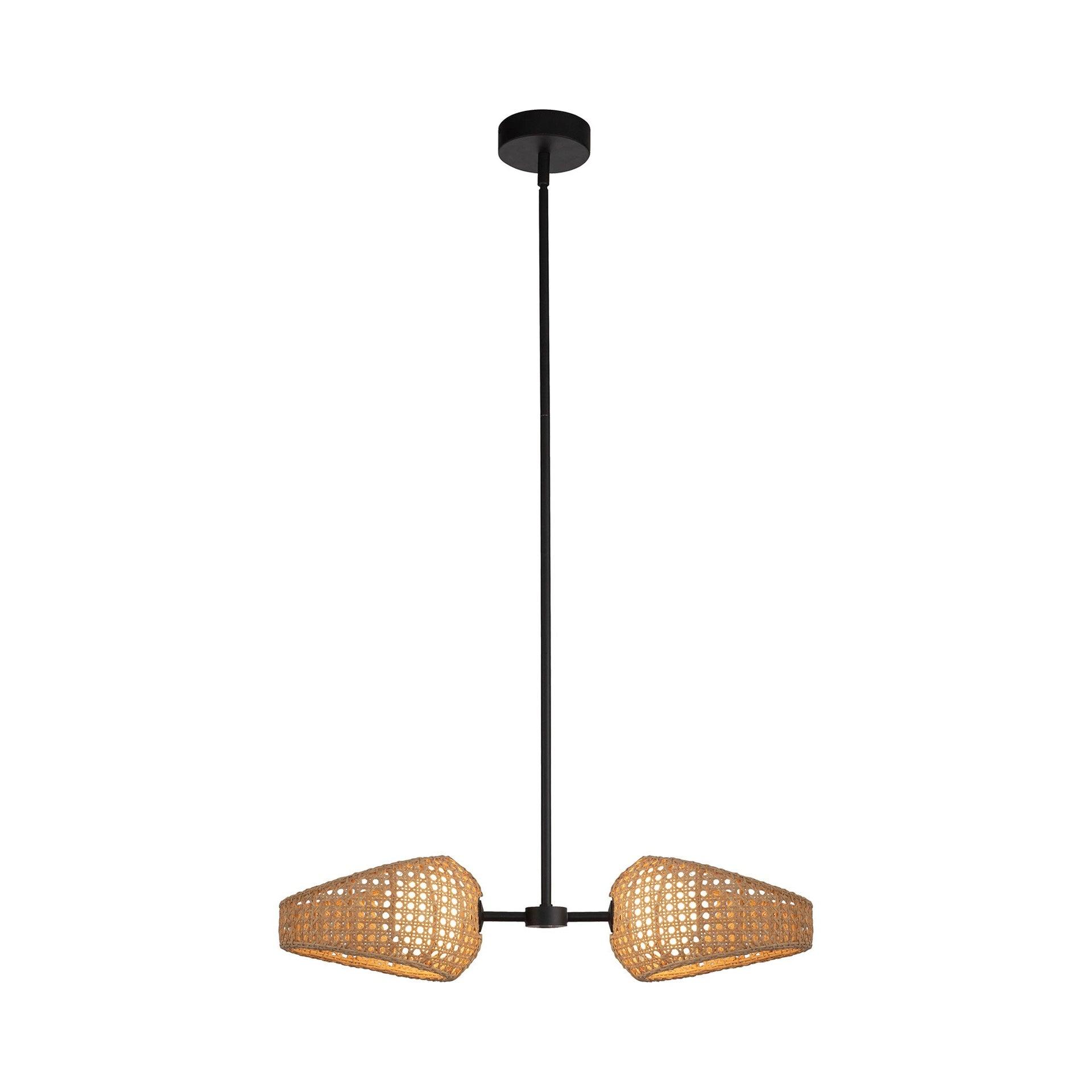 Lanai 2 - Light Black LED Novelty Pendant