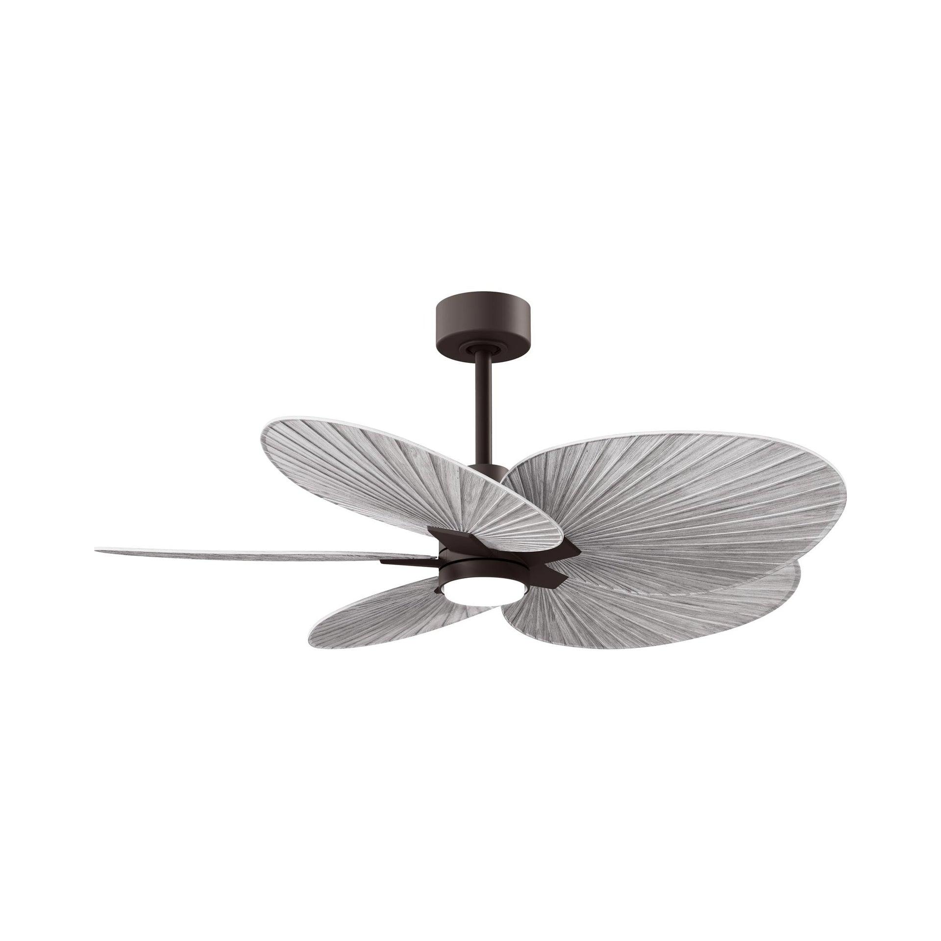Matthews Fan Company Alessandra - Five Blade Ceiling Fan - Integrated LED
