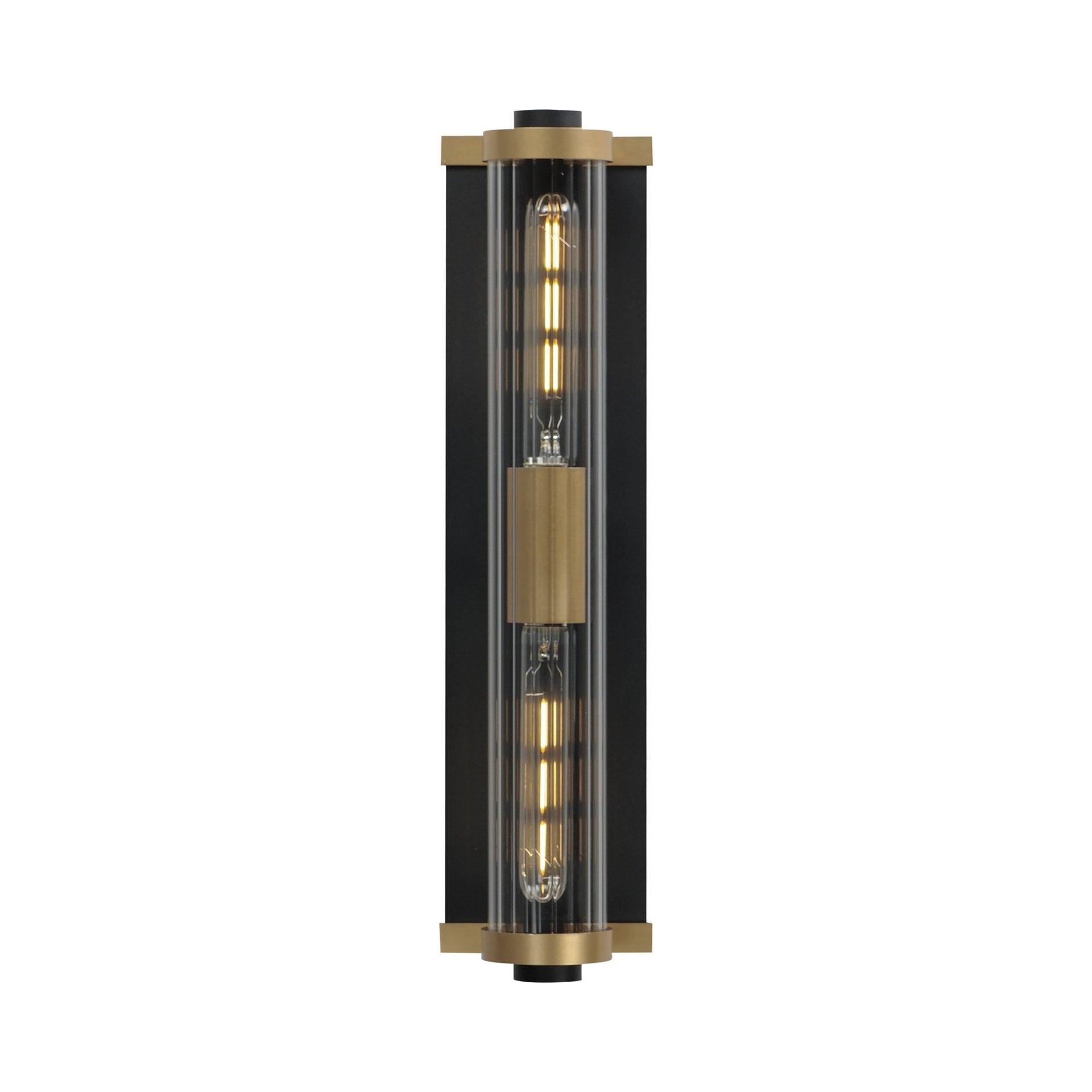 Opulent Black and Antique Brass 20" Outdoor Wall Sconce