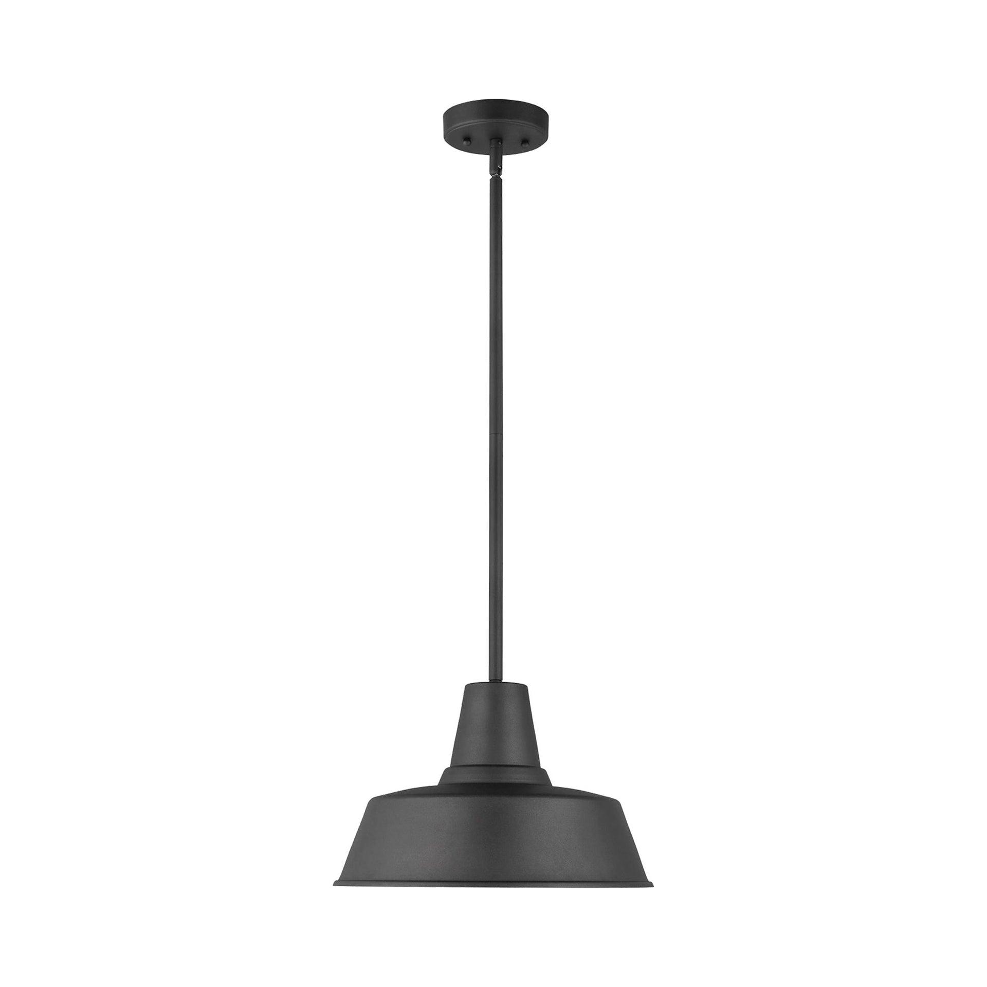 Fisher Outdoor Pendant Light - Black / 14" Dia